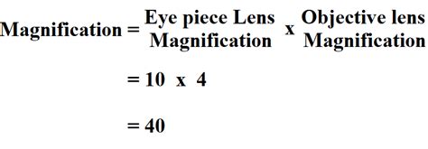 The Calculation of Total Magnification